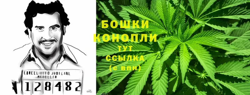 omg маркетплейс  где купить наркоту  Новоузенск  Марихуана OG Kush 